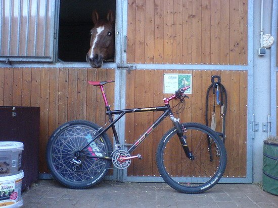 2008, Ausbaustufe 2008 Zaskar