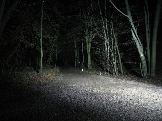 12 Bettina 030 SEITLICH