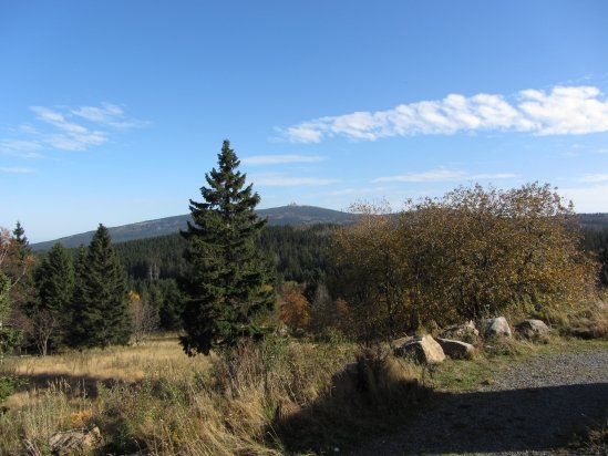 mit Blick auf den Brocken