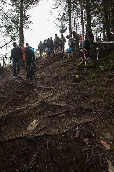 Wurzeln, Regen, Matsche - das dürfte spaßig werden