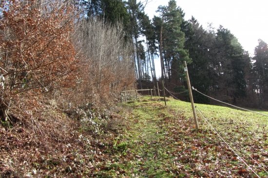 Tour Landgänge Höchsten 31 12 12 09