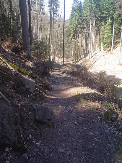 Trail Falkensteig