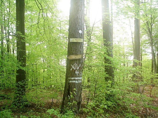 Einstieg zum Felsenpfad