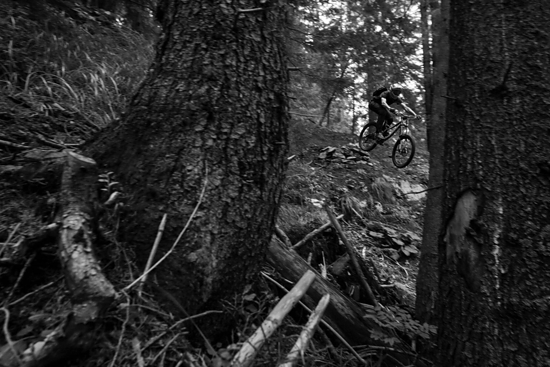 Mit Vollgas durch den Wald