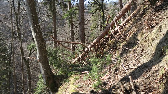 Netter Versuch mir den Weg zu versperren *g*