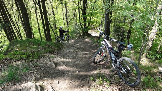 2013 - Region Bergisches Land