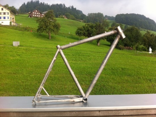 RAW CX Disk Frame