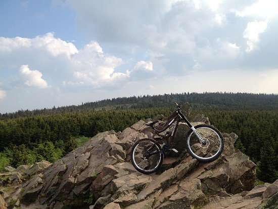Wolfswarte Harz