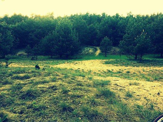 ehemaliger Schießplatz bei Strausberg.