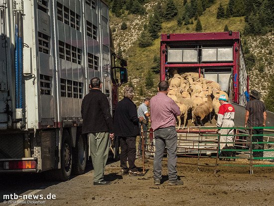 Kurze Verzögerung bei der Auffahrt