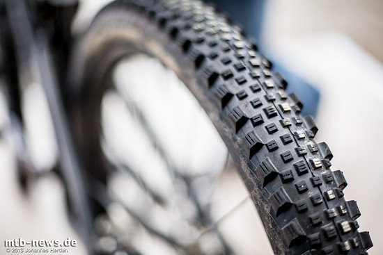 Erinnert leicht an Racing Ralph, hat aber die deutlich potenteren Seitenstollen