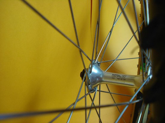 XT + Araya RM 20 005