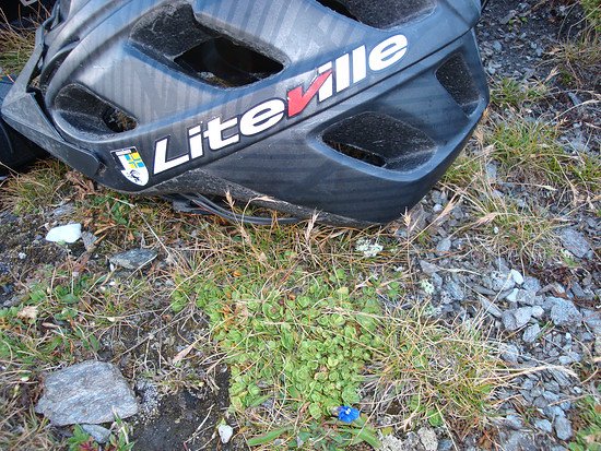 WALLIS 2012 2012-09-05 007