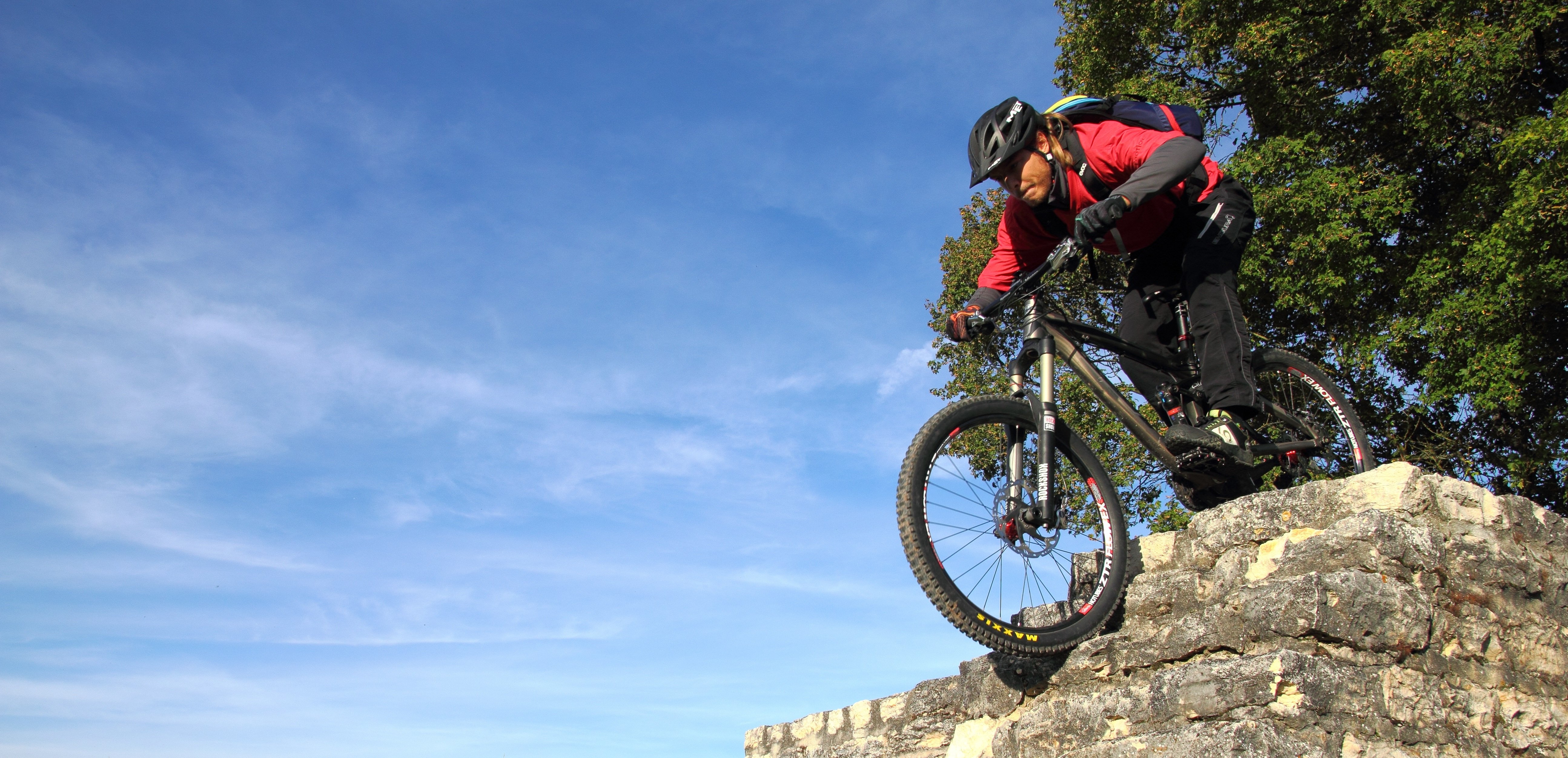 roland bike price