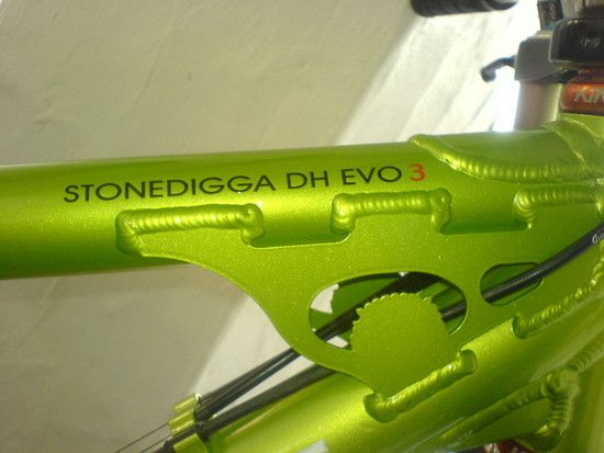 Tollwut Stonedigga DH Evo3