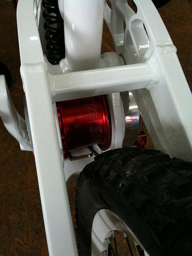 Tollwut Bilder von Lighthub auf Flickr