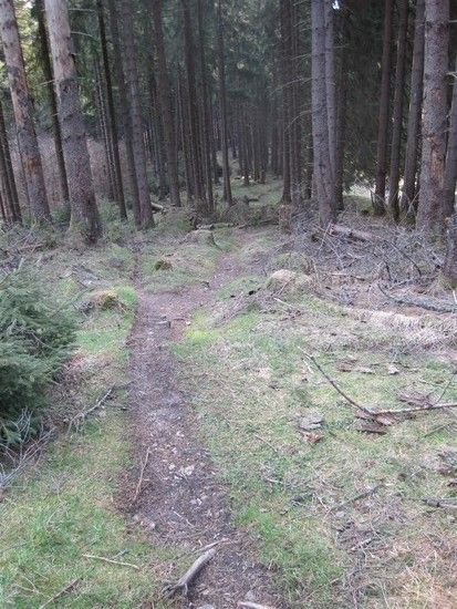 IMG 0938