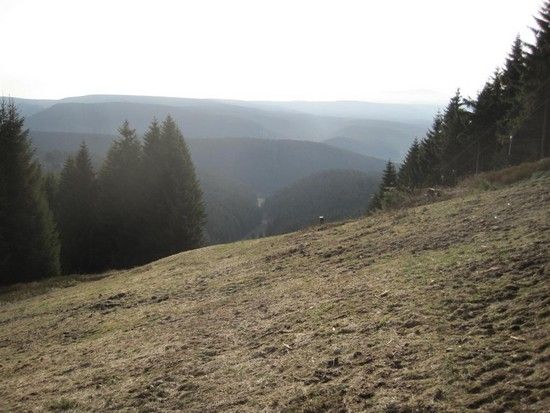 IMG 0956Large