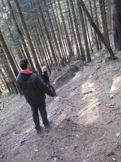 IMG 0987Large 1272301570