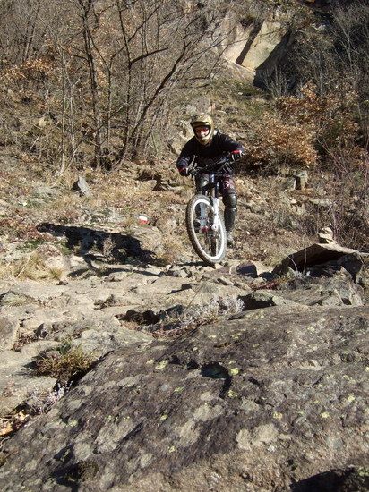 Bozen31