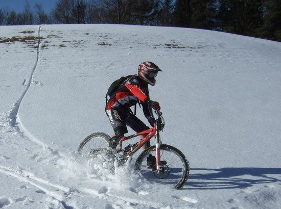 Bozen35