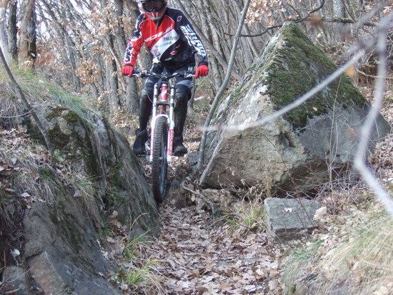 Bozen41