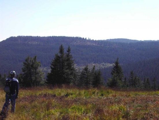 Auf dem Weg zur Hornisgrinde
