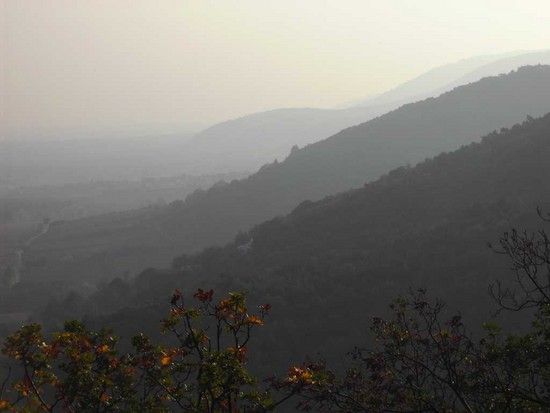 Pfälzer Wald im Dunst