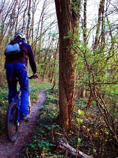 Singletrail im Frühling