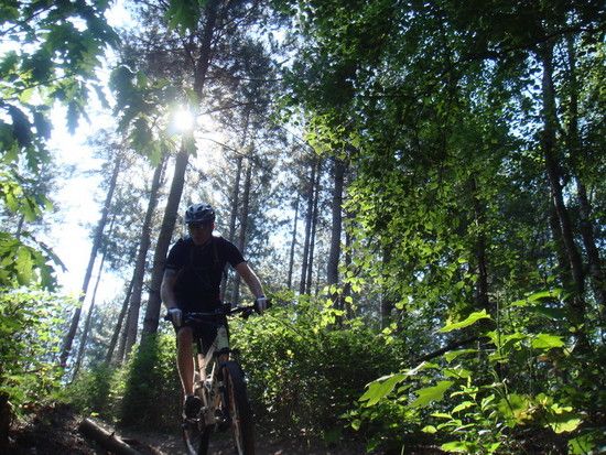 auf dem Trail