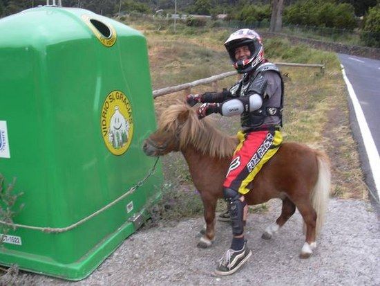 Mikel Mit Dh Pony