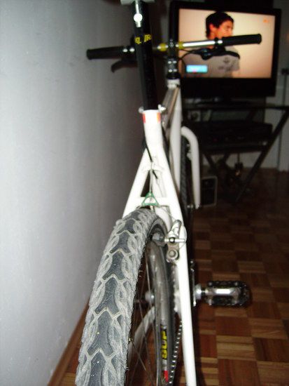 RIMG0500