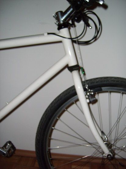 RIMG0501