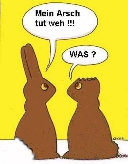 hasen