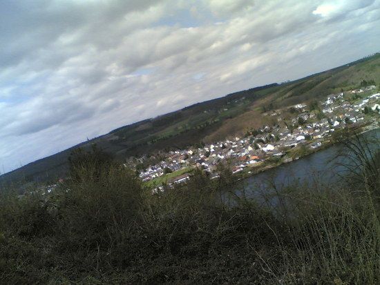 12042008006