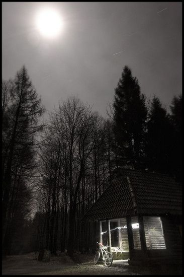 Moonlight