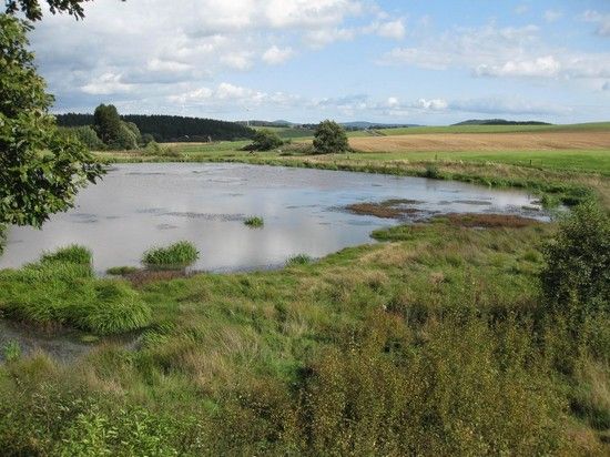 Eifel52