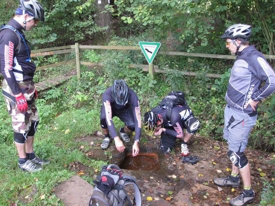 Eifel54
