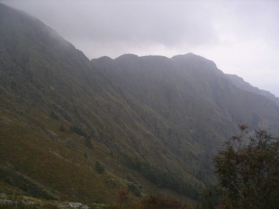 IMGP0091