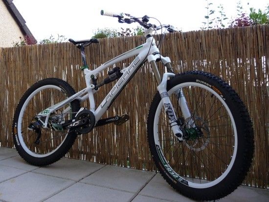 Froggy5182009