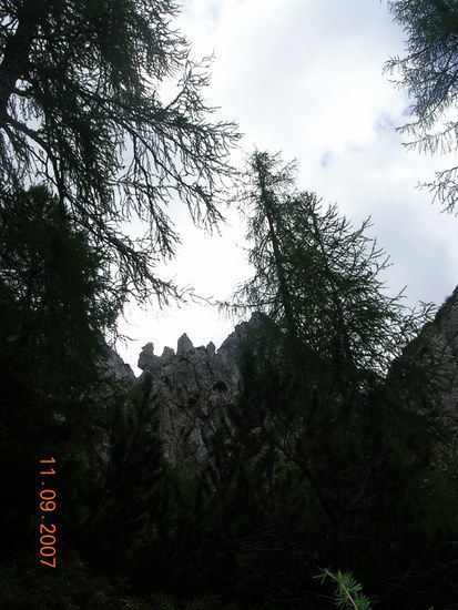 DSCN2451