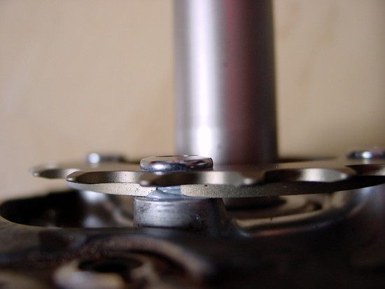 20/4 Stambecco Detail