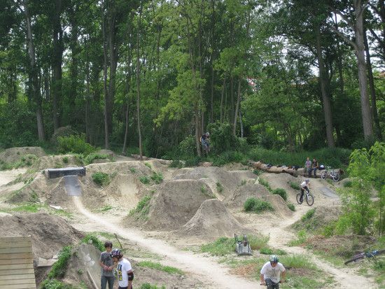 BMXArea013