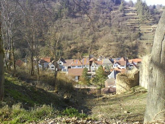 Wachtenburg (Pfalz)