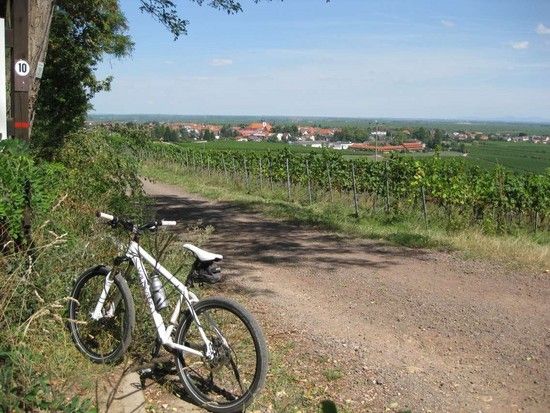 Haardtrand Wachenheim
