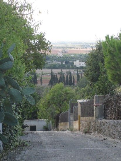Landschaft