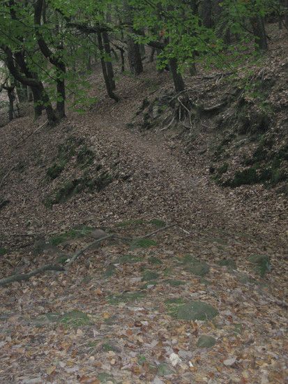 hambach005