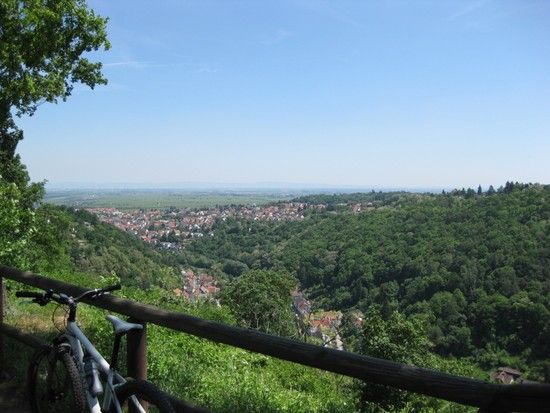 limburg003