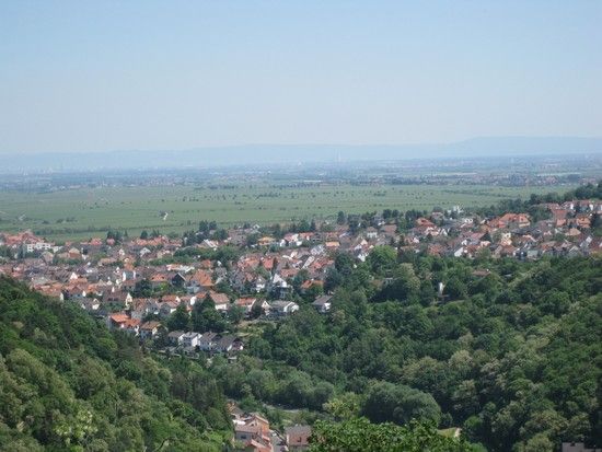 limburg004