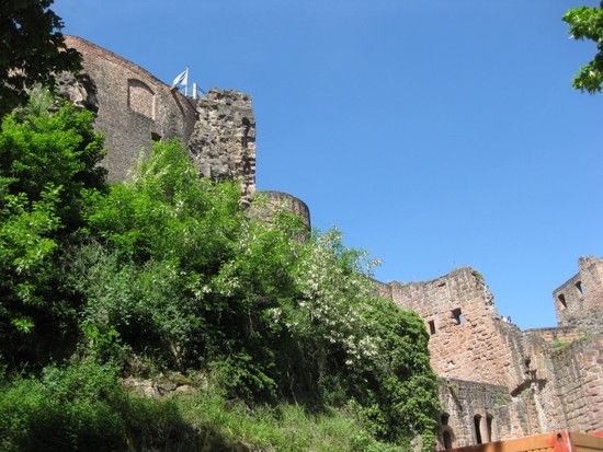 ruinehardenburg